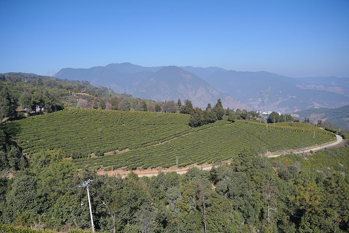 1774497482835794.png QQ_1774497459016.png