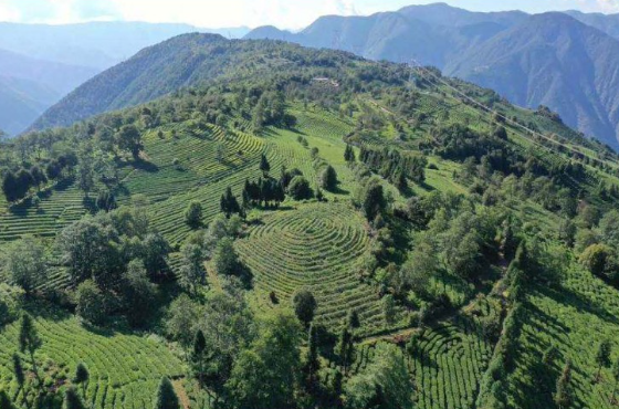 1774497522781812.png 图片2.png