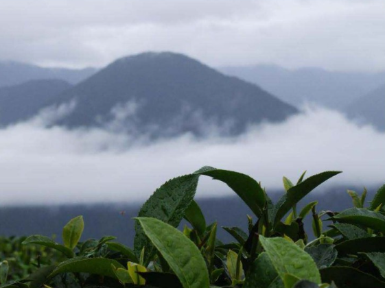 1774497549935116.png 图片3.png