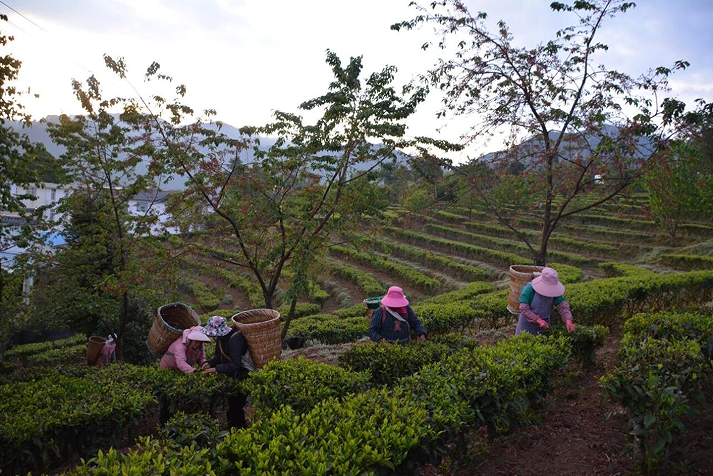 1774497641368089.png QQ_1774497625096.png