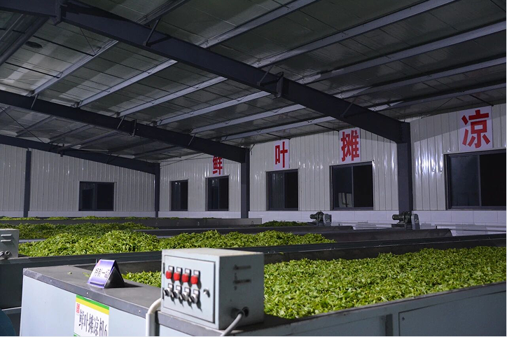 1774497673565190.png QQ_1774497654385.png