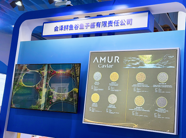 QQ_1781491759841.png